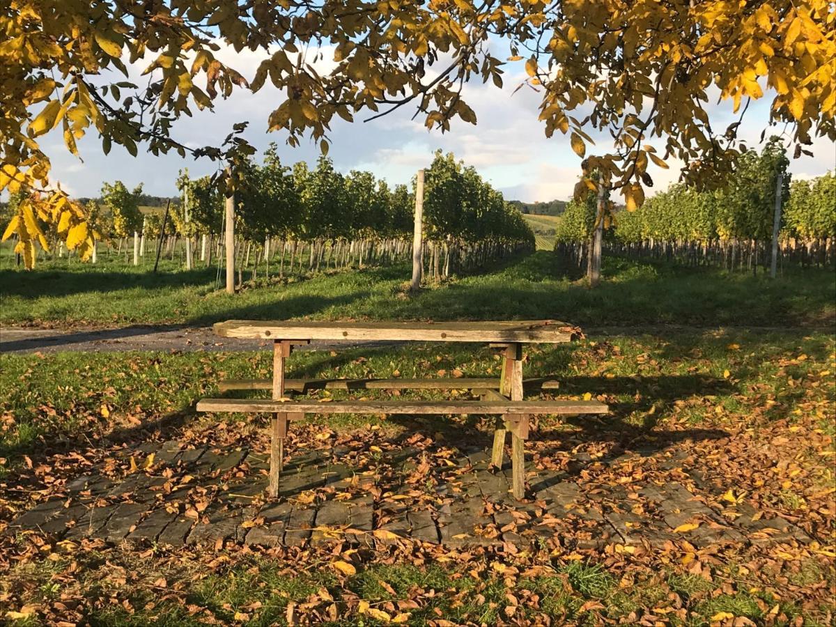 Weingut & Gaestezimmer Edelmann Goettlesbrunn Экстерьер фото